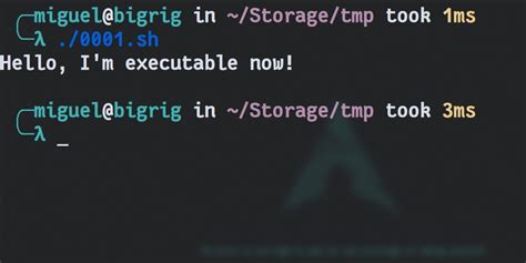 How to Make a File Executable in Any Linux Distribution.